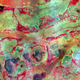 Image for article titled Can you tell satellite images from microscopic pictures? Test yourself